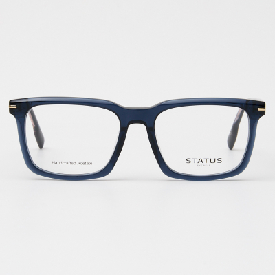 Оправа Status GX66010 c5 acetate