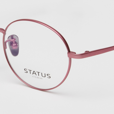 Оправа Status 86680 c13 titan