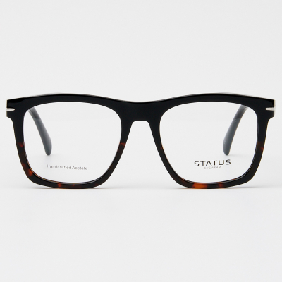 Оправа Status F3309 c8 acetate
