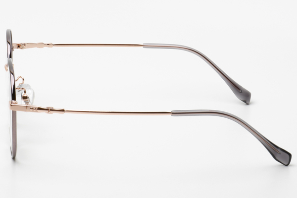 Оправа Status 1060 c22