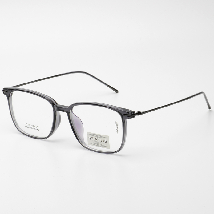 Купить Оправа Status 8300 c4 titan оптом дешево с доставкой в Санкт-Петербург