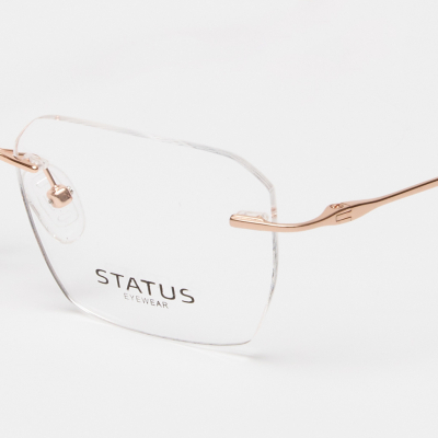 Оправа Status RT0163 c2 titan