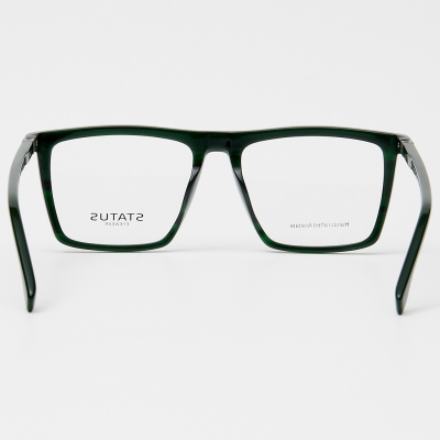 Оправа Status F3310 c6 acetate