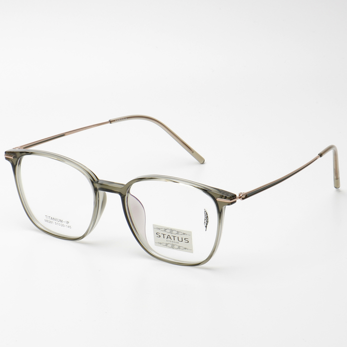 Купить Оправа Status 8281 c5 titan оптом дешево с доставкой в Санкт-Петербург