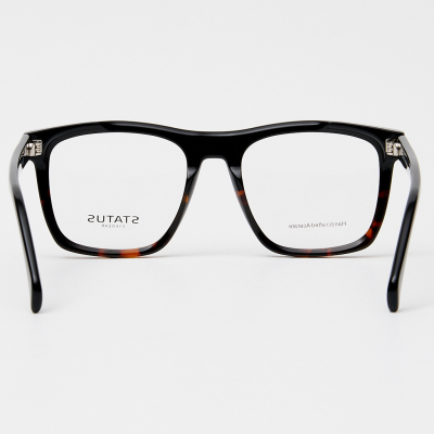 Оправа Status F3309 c8 acetate