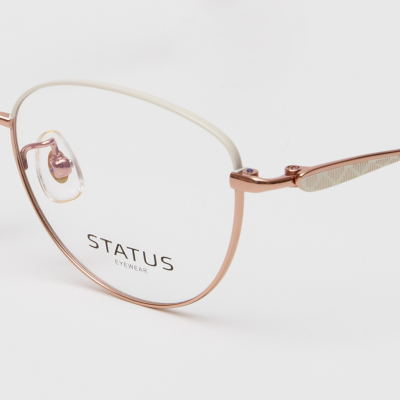 Оправа Status 88780 c21 titan