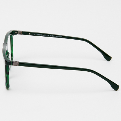 Оправа Status F3310 c6 acetate