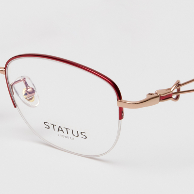 Оправа Status 88759 c2 titan