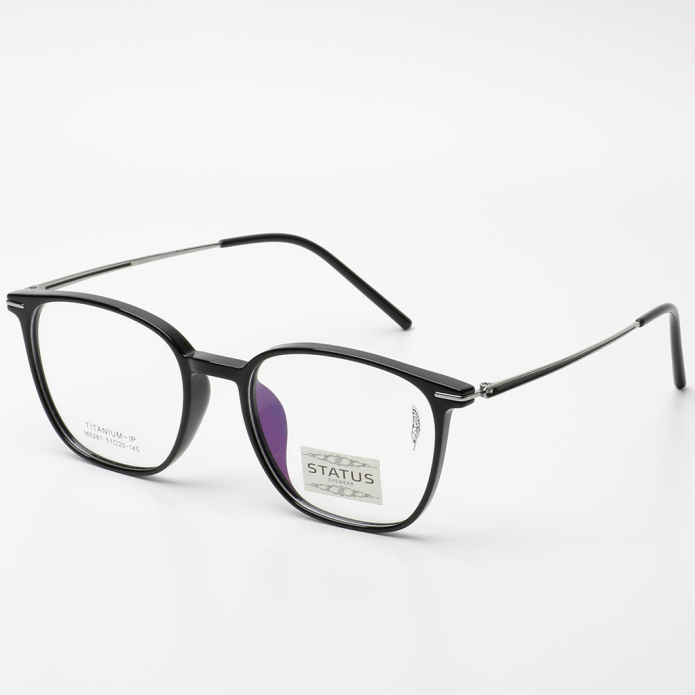 Оправа Status 8281 c1 titan оптом