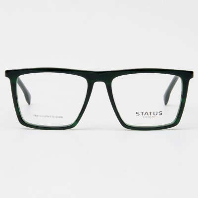 Оправа Status F3310 c6 acetate