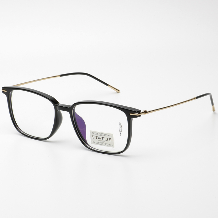 Купить Оправа Status 8300 c1 titan оптом дешево с доставкой в Санкт-Петербург