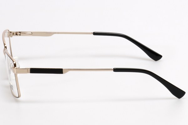 Купить Оправа Amshar AM 8828 c1 оптом дешево с доставкой в Санкт-Петербург