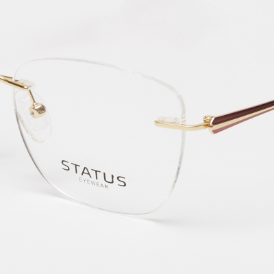 Оправа Status RT0090 c3 titan